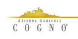 Cogno Elvio