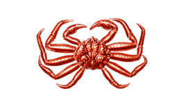 Snow Crab