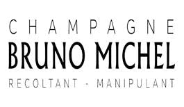 Bruno Michel