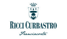 Ricci Curbastro