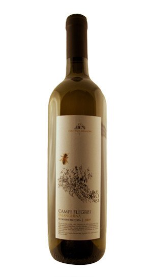 Falanghina Campi Flegrei Contrada Salandra 2013