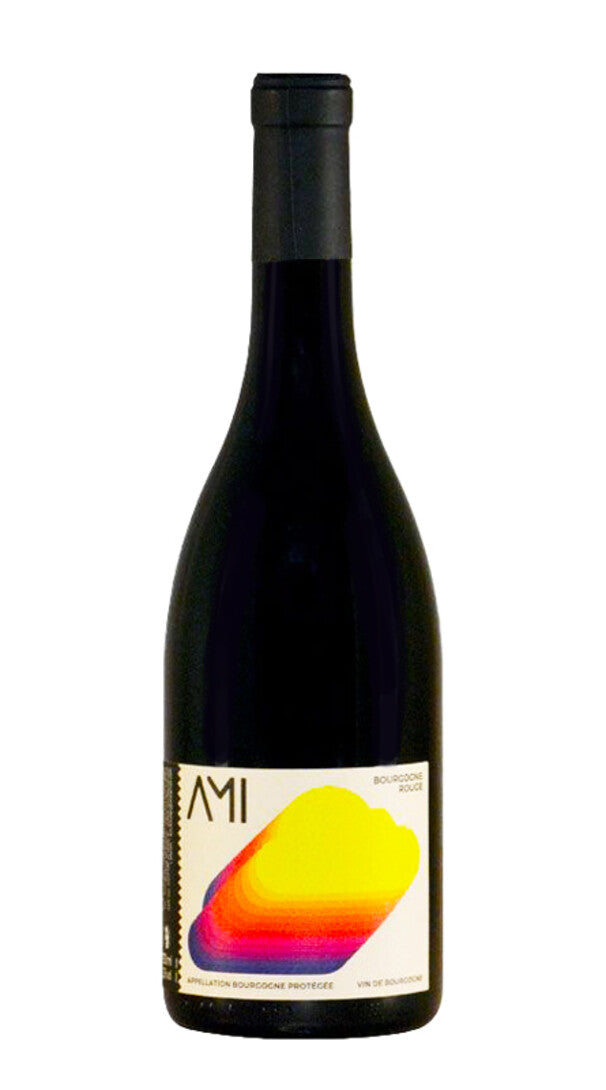 Bourgogne Rouge 'Tete dans le Nuages' Domaine Ami 2020